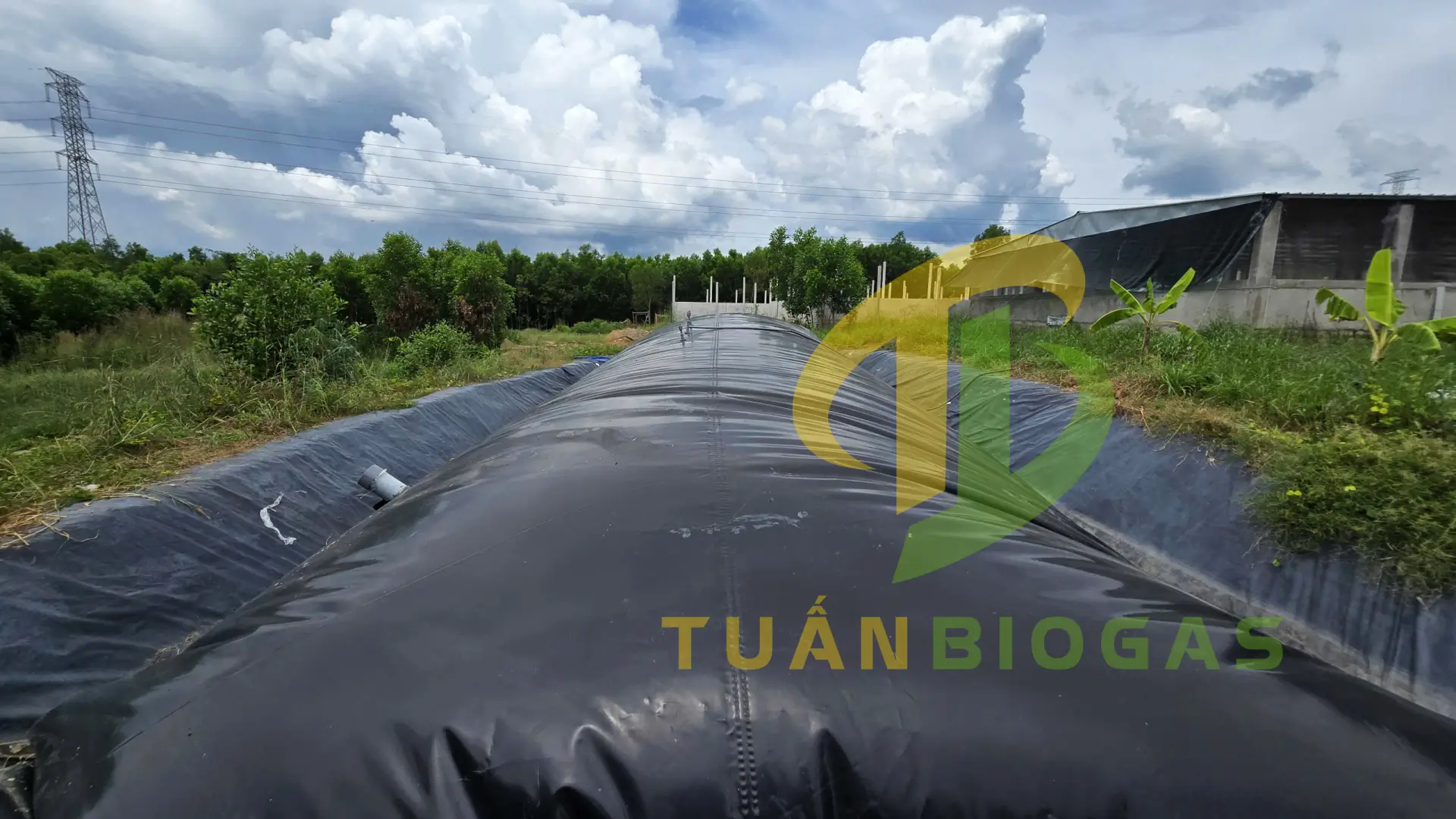 Bí Quyết Treo Bình Lọc Khí Biogas Chuẩn Kỹ Thuật: Cho Ngọn Lửa Xanh Rực, Khử Sạch Mùi Trứng Thối